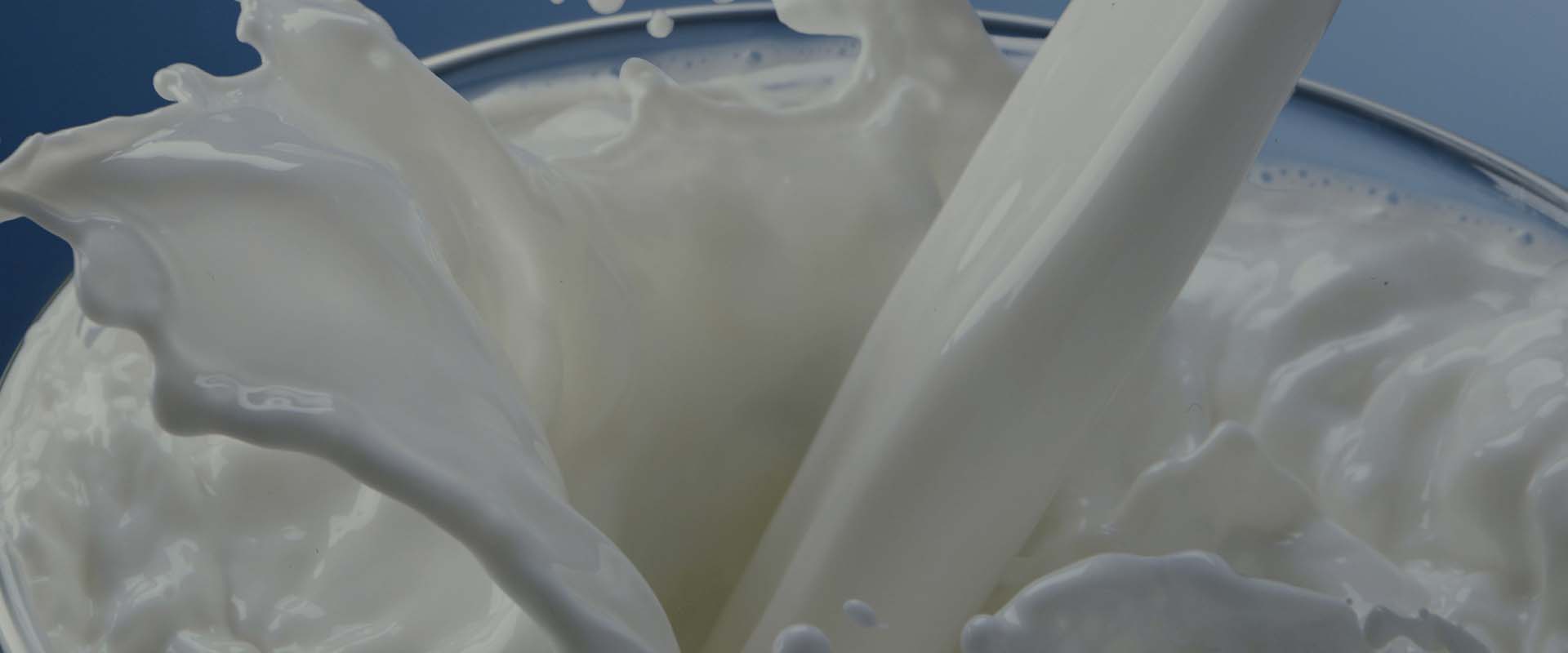Dairy-Milk