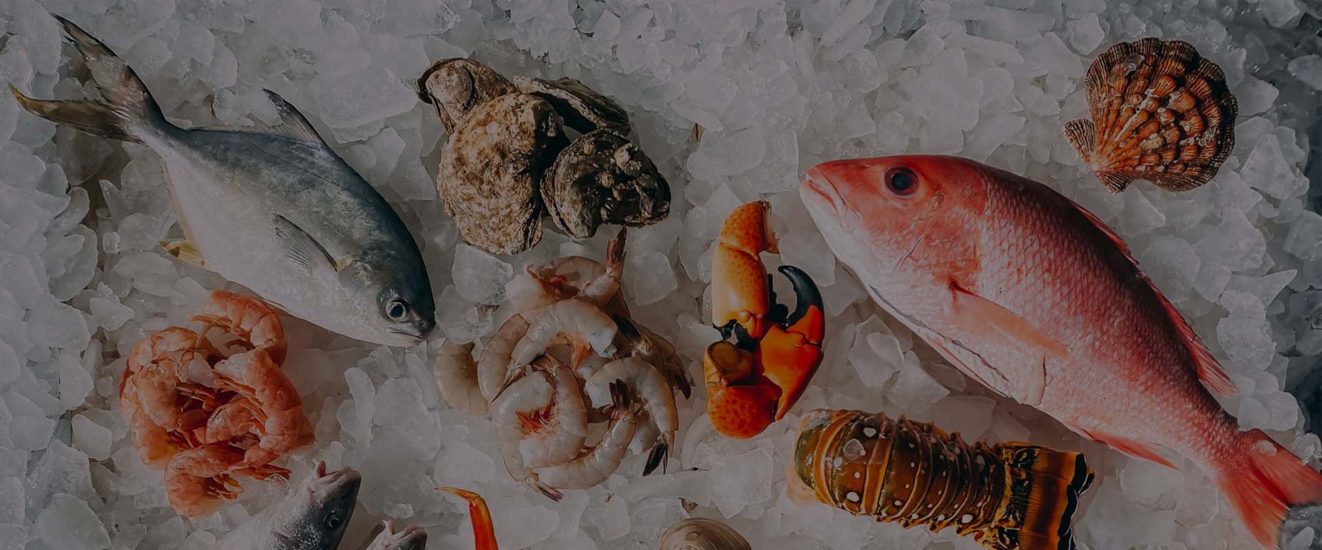 Seafood-1